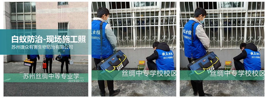 白蚁防治